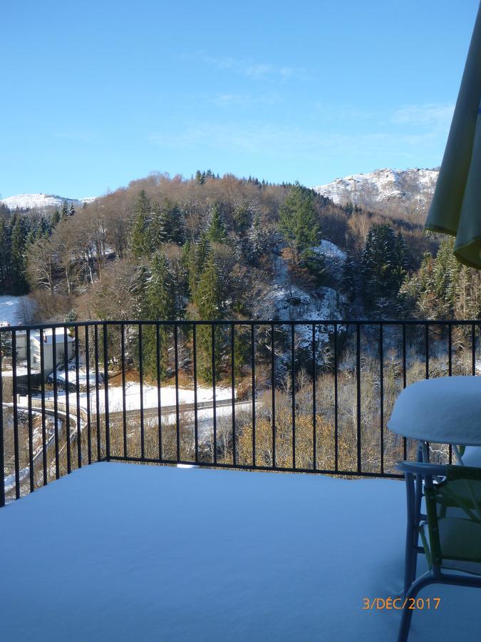 Logis Hotel Les Tilleuls Saint-Cirgues-de-Jordanne Bagian luar foto